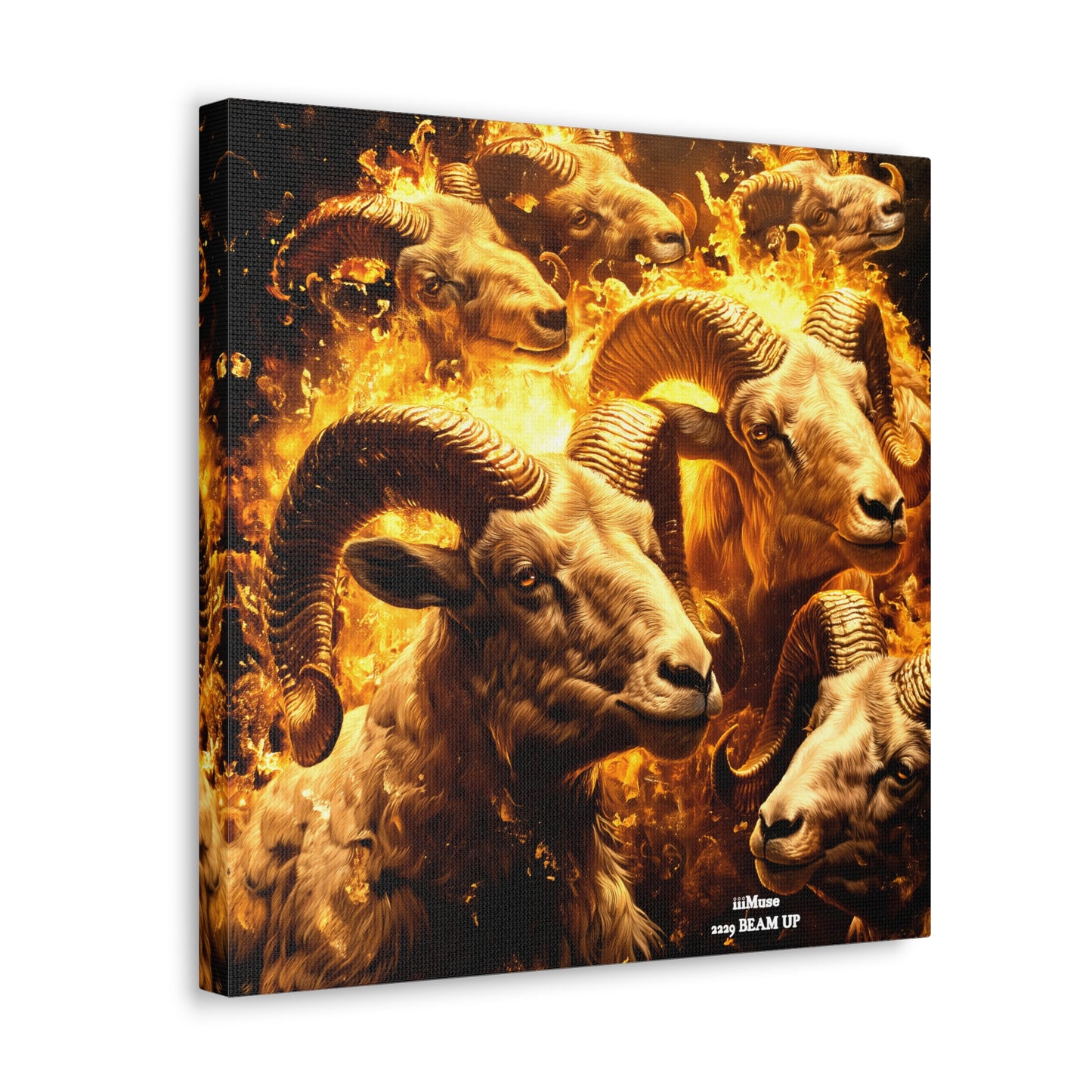 Aries Canvas design #13