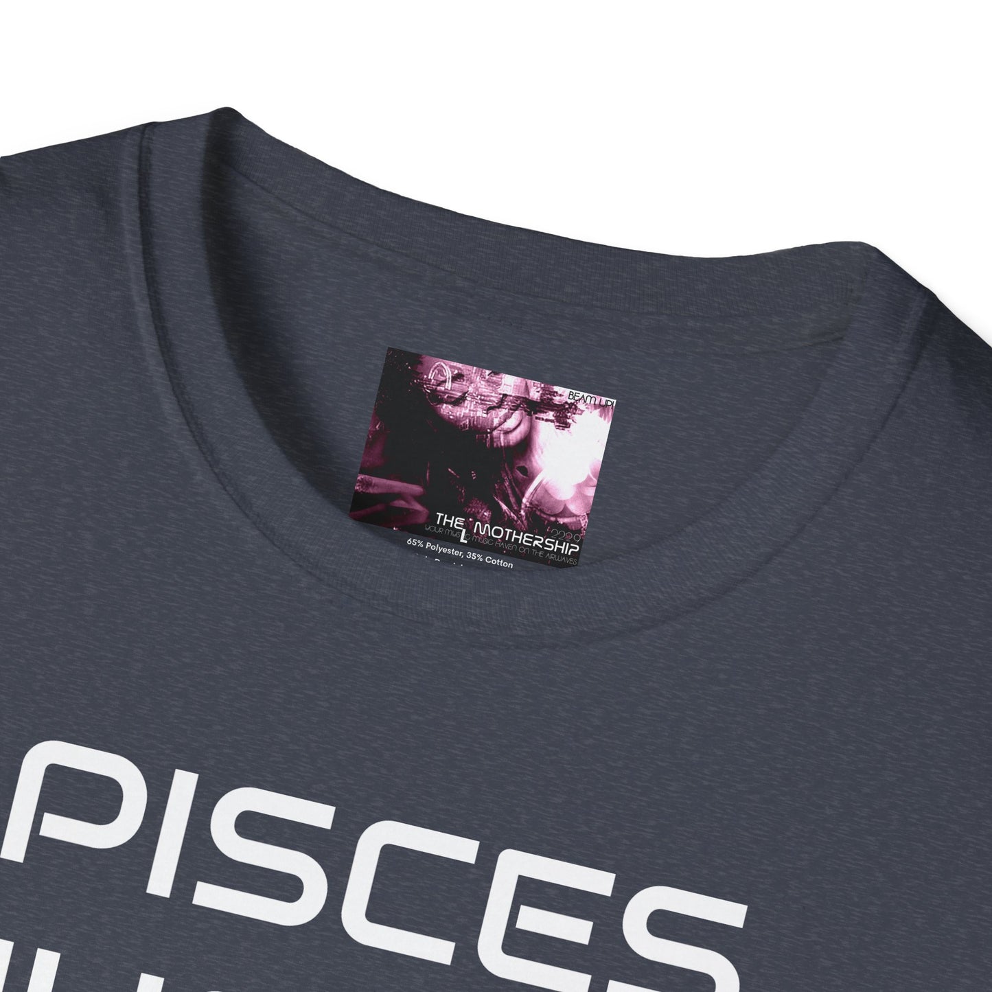 Pisces Jupiter Softstyle T-Shirt