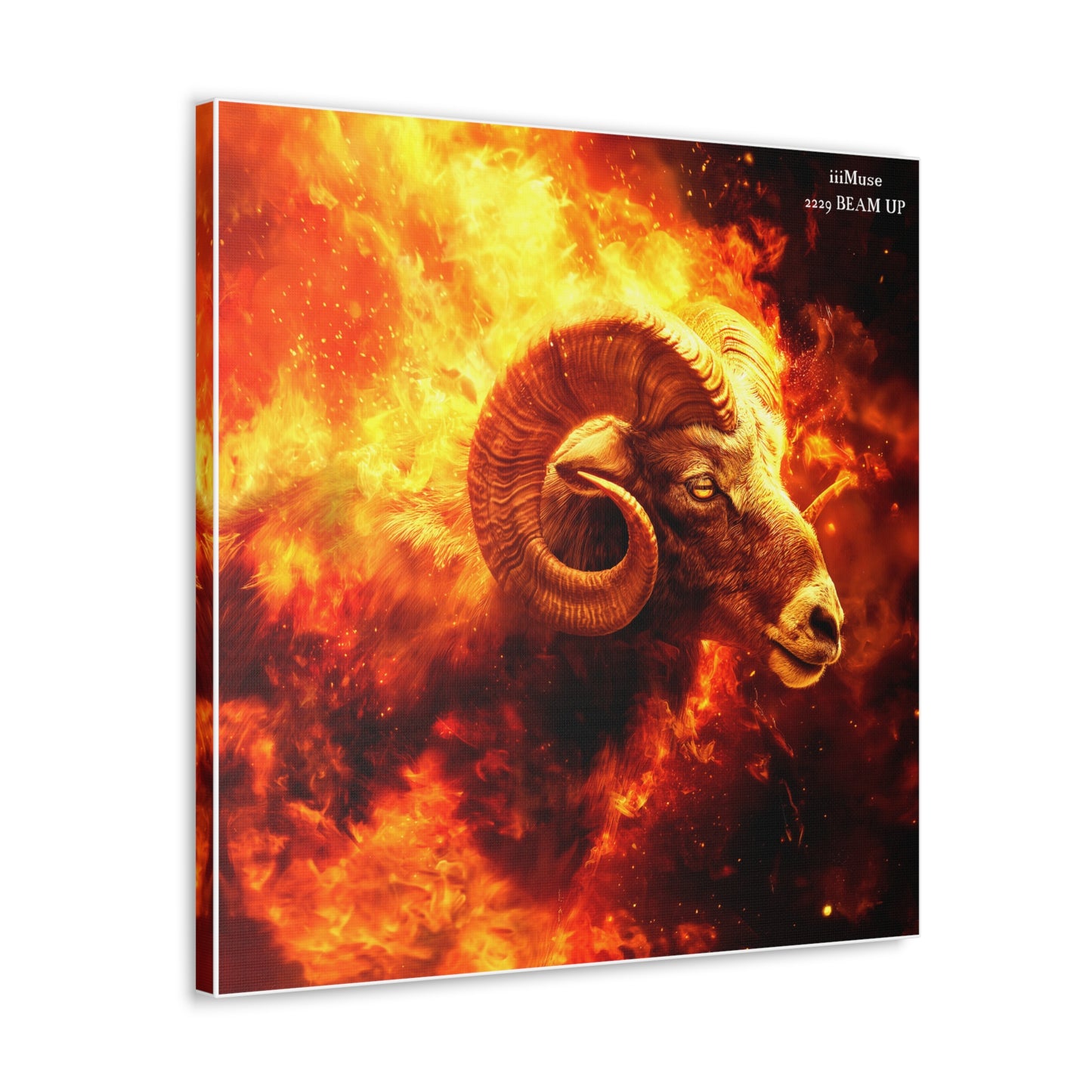 Aries Canvas Design #2