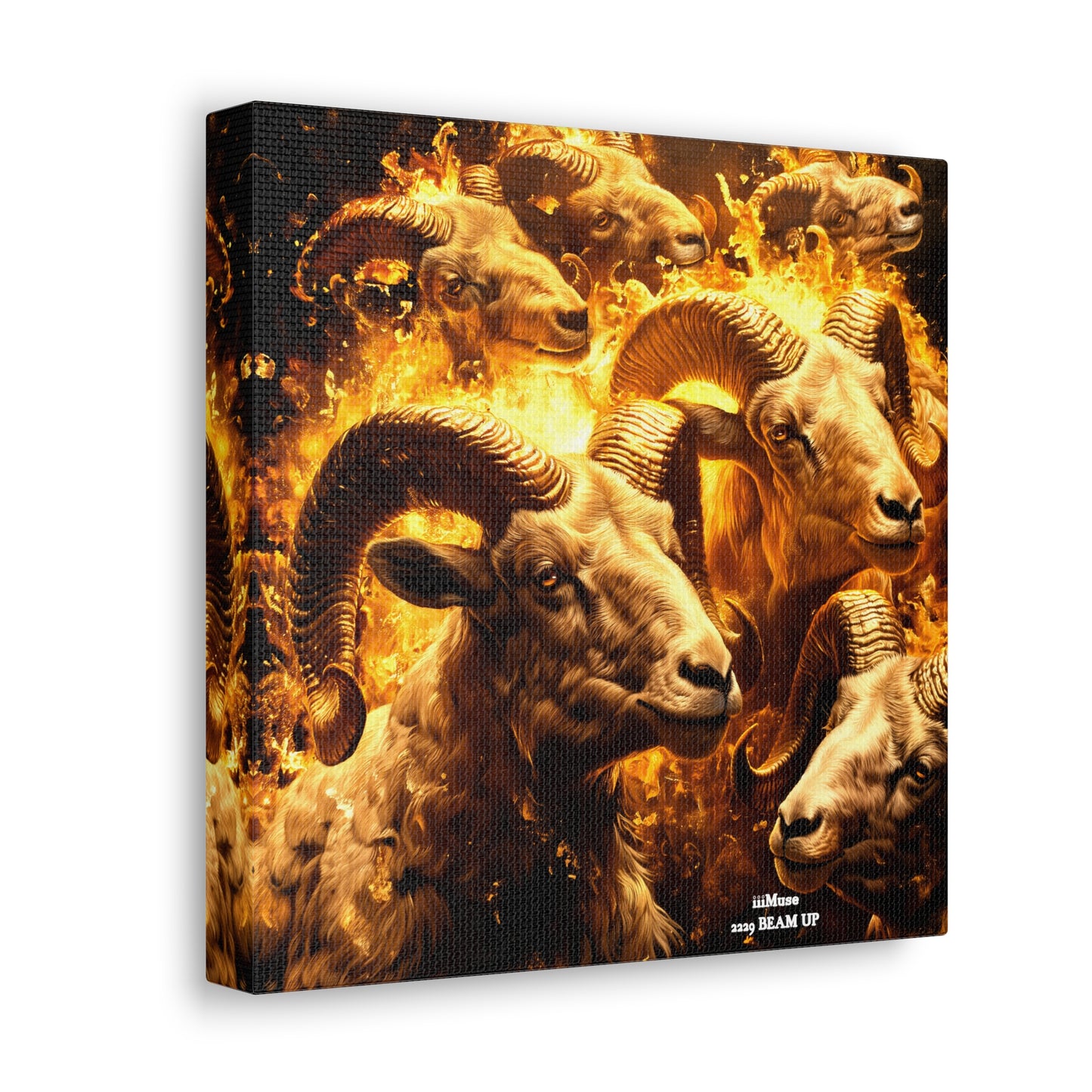 Aries Canvas design #13