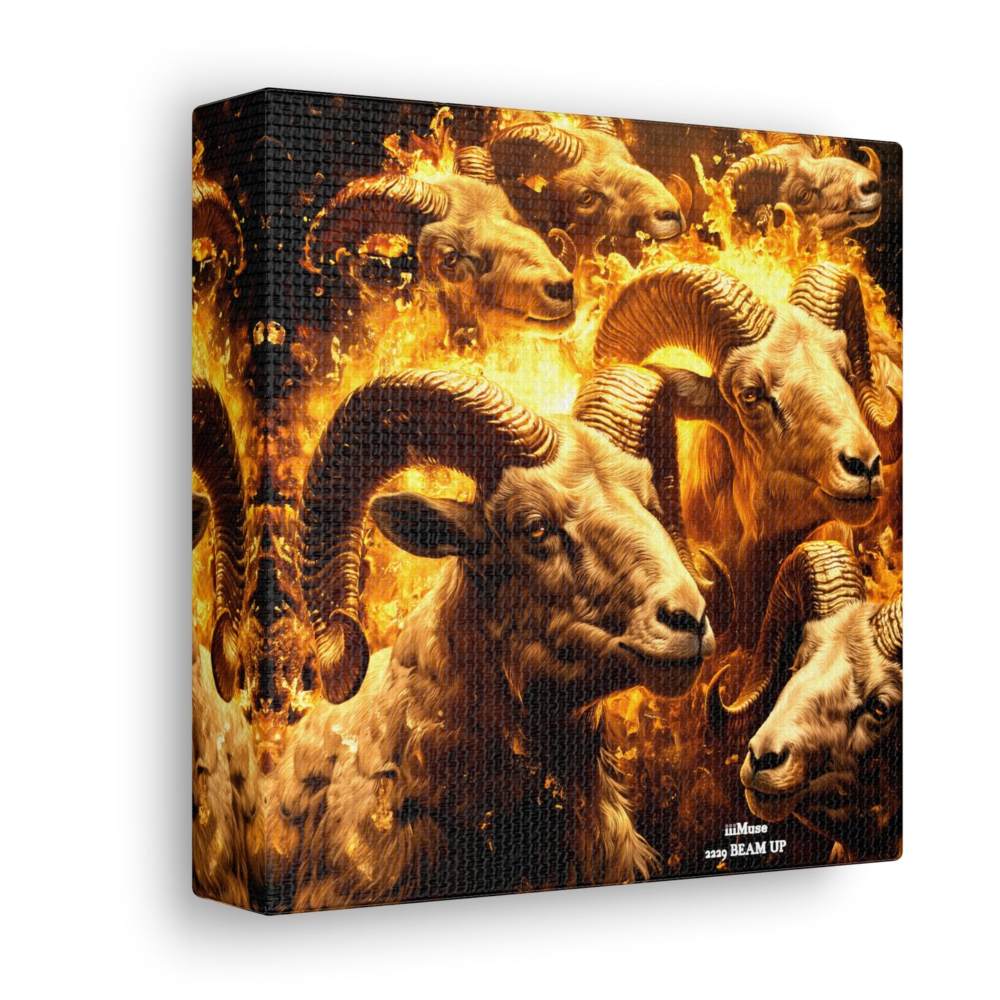 Aries Canvas design #13