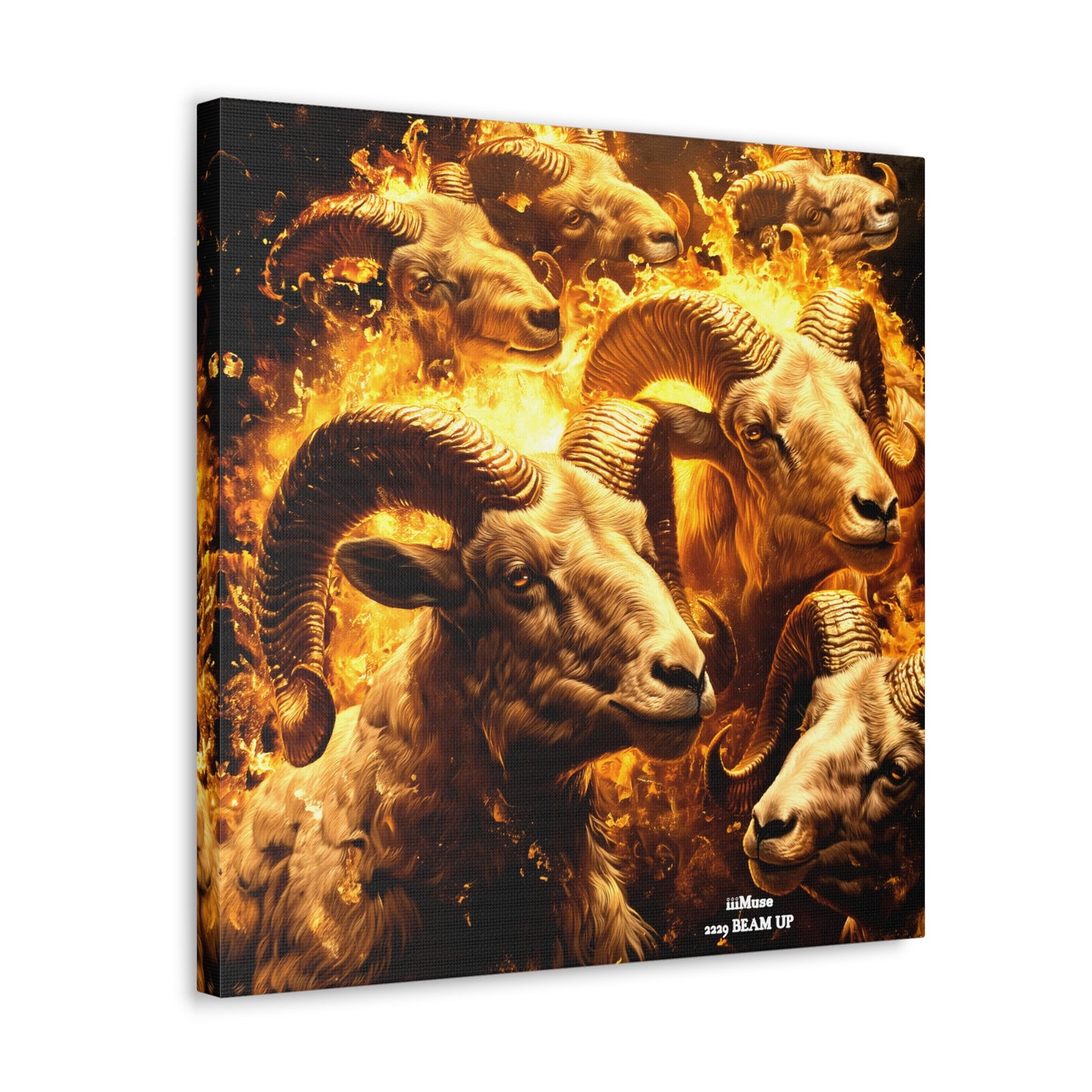 Aries Canvas design #13