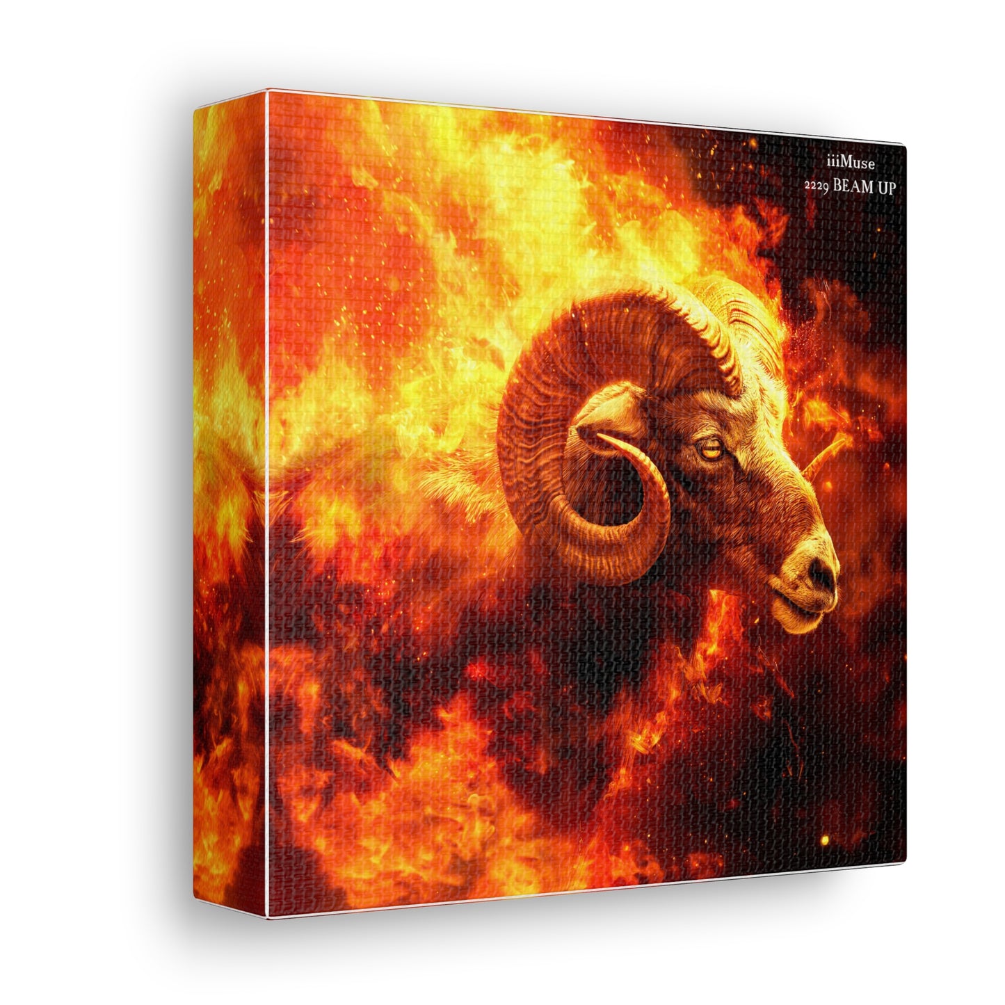 Aries Canvas Design #2